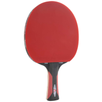 JOOLA TISCHTENNISSCHLÄGER