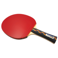 KINDER TISCHTENNISSCHLÄGER