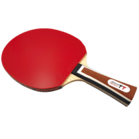 PROFI TISCHTENNISSCHLÄGER ALLROUND