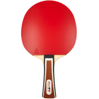 PROFI TISCHTENNISSCHLÄGER